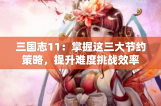 三国志11：掌握这三大节约策略，提升难度挑战效率