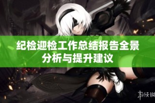 纪检迎检工作总结报告全景分析与提升建议