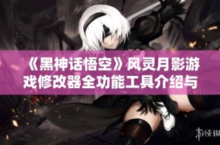 《黑神话悟空》风灵月影游戏修改器全功能工具介绍与使用指南