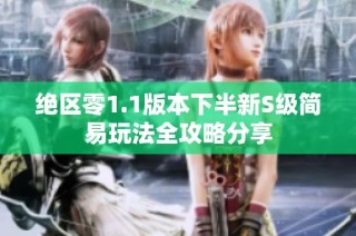 绝区零1.1版本下半新S级简易玩法全攻略分享