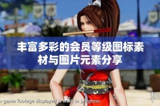 丰富多彩的会员等级图标素材与图片元素分享