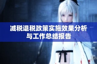 减税退税政策实施效果分析与工作总结报告