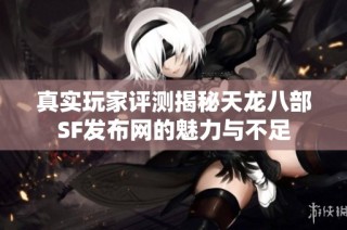 真实玩家评测揭秘天龙八部SF发布网的魅力与不足