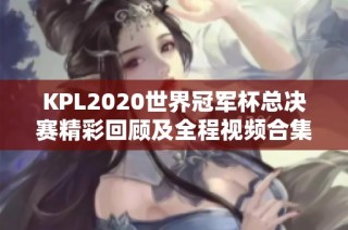 KPL2020世界冠军杯总决赛精彩回顾及全程视频合集
