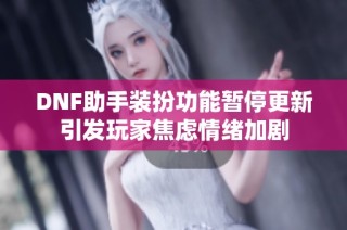 DNF助手装扮功能暂停更新引发玩家焦虑情绪加剧
