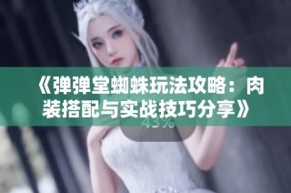 《弹弹堂蜘蛛玩法攻略：肉装搭配与实战技巧分享》