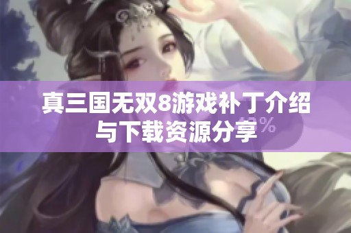 真三国无双8游戏补丁介绍与下载资源分享