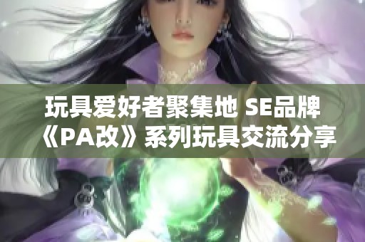 玩具爱好者聚集地 SE品牌《PA改》系列玩具交流分享