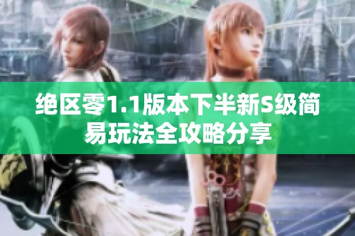 绝区零1.1版本下半新S级简易玩法全攻略分享