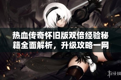 热血传奇怀旧版双倍经验秘籍全面解析，升级攻略一网打尽！