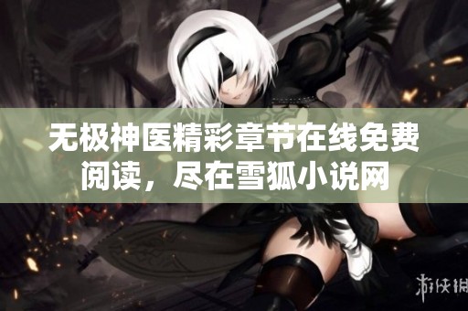 无极神医精彩章节在线免费阅读，尽在雪狐小说网