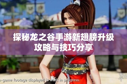 探秘龙之谷手游新翅膀升级攻略与技巧分享