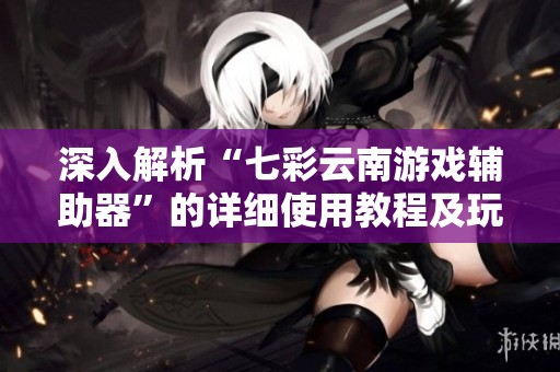 深入解析“七彩云南游戏辅助器”的详细使用教程及玩家实测经验