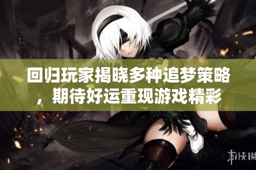 回归玩家揭晓多种追梦策略，期待好运重现游戏精彩