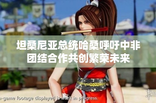 坦桑尼亚总统哈桑呼吁中非团结合作共创繁荣未来