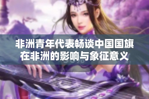 非洲青年代表畅谈中国国旗在非洲的影响与象征意义
