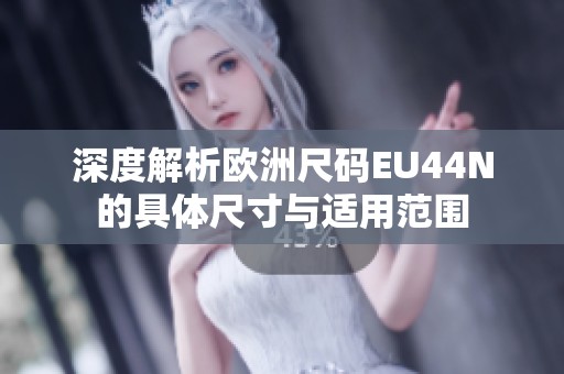 深度解析欧洲尺码EU44N的具体尺寸与适用范围
