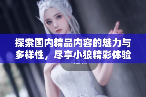 探索国内精品内容的魅力与多样性，尽享小狼精彩体验