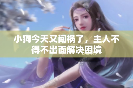 小狗今天又闯祸了，主人不得不出面解决困境