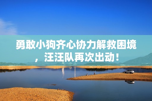 勇敢小狗齐心协力解救困境，汪汪队再次出动！